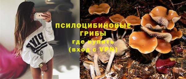 ПСИЛОЦИБИНОВЫЕ ГРИБЫ Костерёво