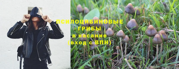 альфа пвп Корсаков