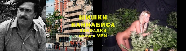 ПСИЛОЦИБИНОВЫЕ ГРИБЫ Костерёво