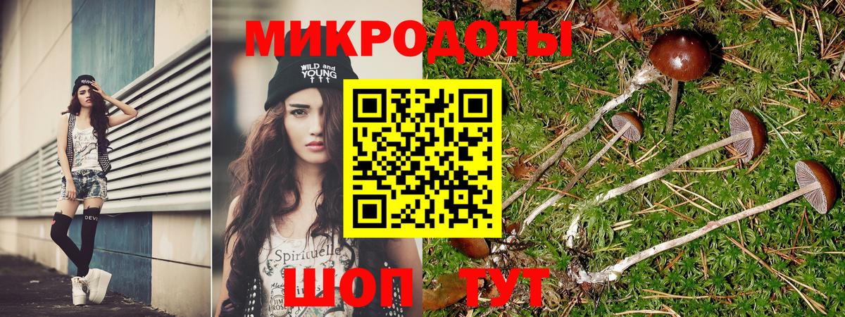 Псилоцибиновые грибы Psilocybine cubensis Коммунар