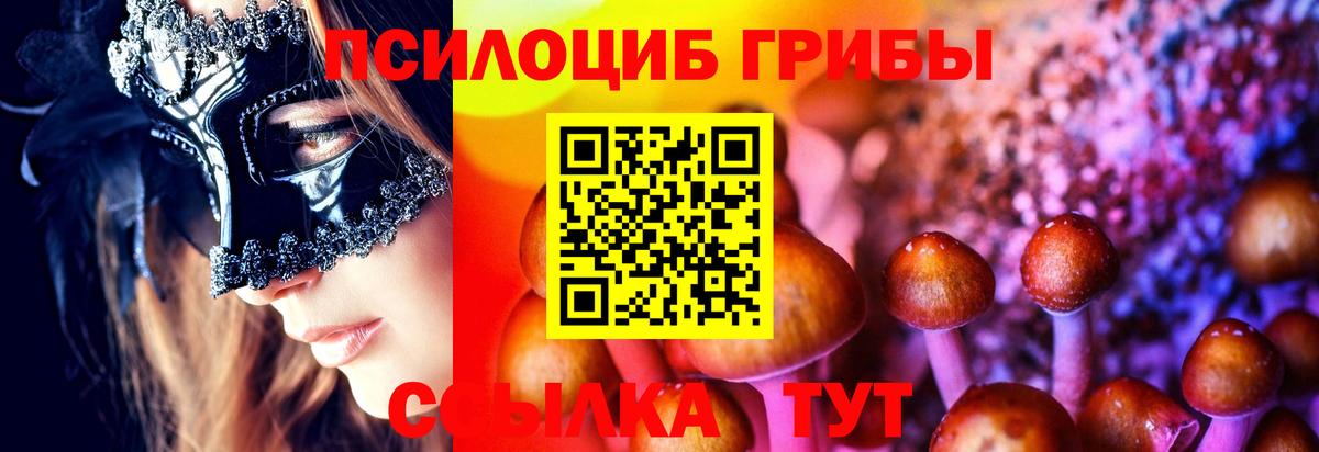 где купить наркоту  Коммунар  Псилоцибиновые грибы ЛСД 