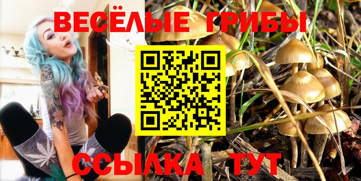 Псилоцибиновые грибы Magic Shrooms Коммунар
